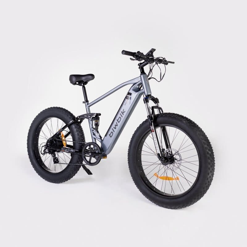 Biwbik SANDY 2 Biwbik SANDY – Image 2