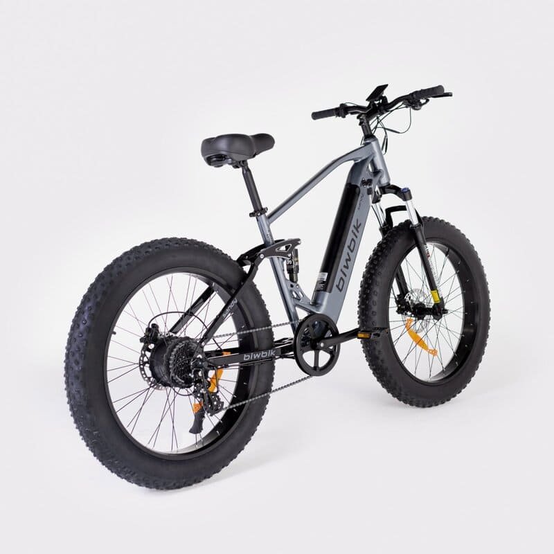 Biwbik SANDY 3 Biwbik SANDY – Image 3