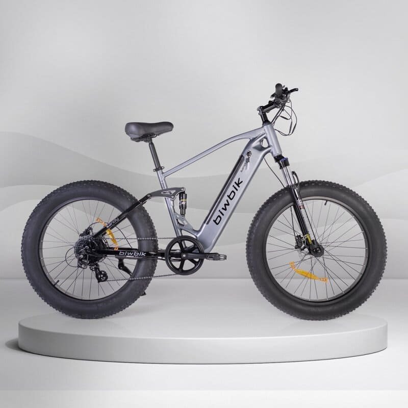 Biwbik SANDY 1 Biwbik SANDY