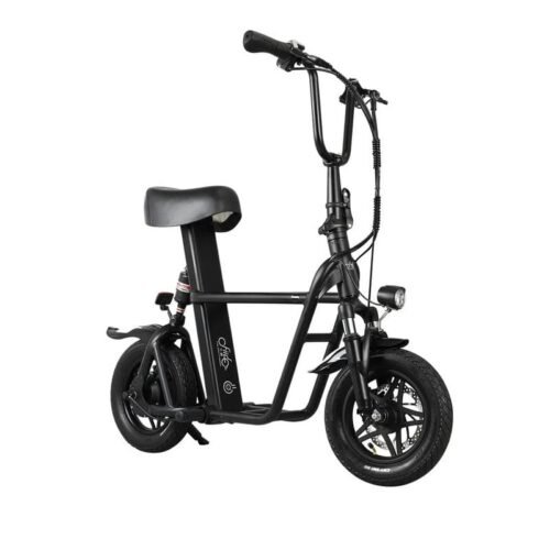 Draisienne Électrique Pliante Fiido Q1S