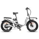 Fafrees F20 X-Max 750W 20" Fat Bike électrique Pliable