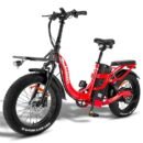 Fafrees F20 X-Max 750W 20" Fat Bike électrique Pliable