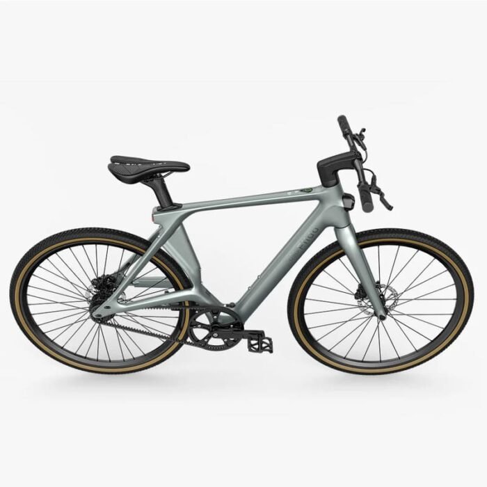 Fiido Air Vélo électrique Carbone – Image 2