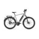 VTC électrique Gazelle Ultimate Speed 380