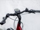 Trek District+ 4 Lowstep 300wh Shimano Nexus 2022