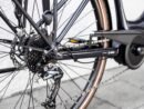 Trek Verve+ 2 Lowstep Shimano Acera/Altus 300 Wh 2022