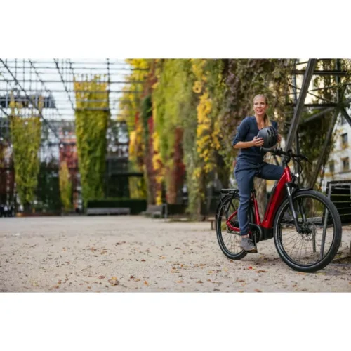 Velo electrique cargo FLYER Gotour 3 7.43 2022 6
