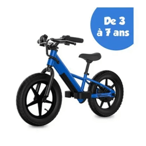 draisienne electrique wispeed 100 w bleu (1)